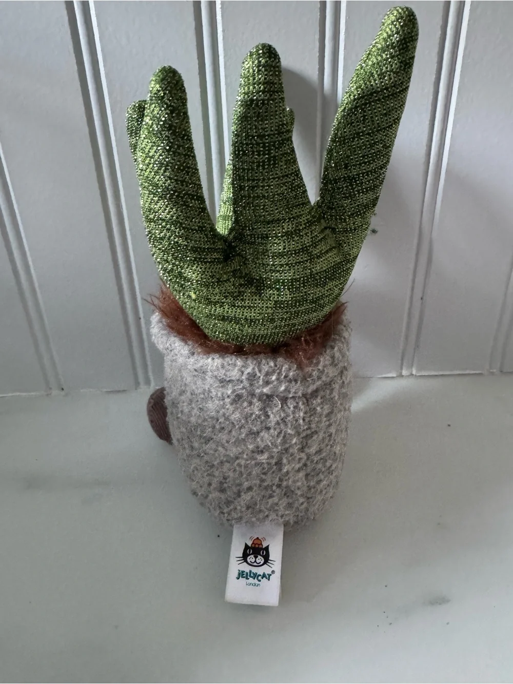 Jelly Cat Silly Succulent Planter with Smiling Face